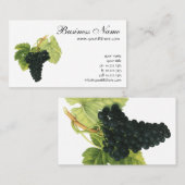 Vintager Rotwein, Bio Traubencluster, Lebensmittel Visitenkarte (Vorne/Hinten)