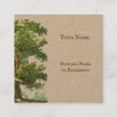 Vintager rustikaler Eichenbaum Quadratische Visitenkarte (Vorderseite)