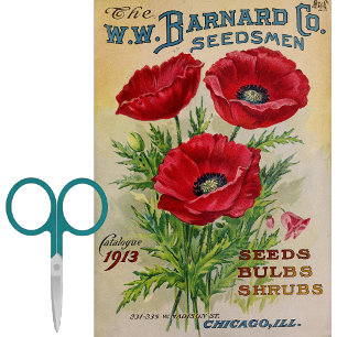 Vintager Saatgutkatalog Barnard Bulbs, Shrubs 1913 Seidenpapier