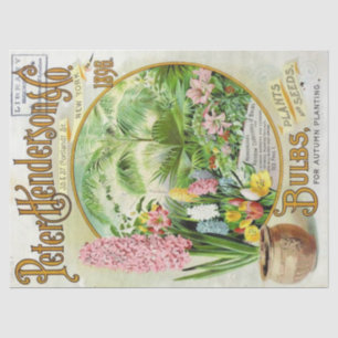 Vintager Saatgutkatalog Henderson 1896 Bulben, Pfl Seidenpapier