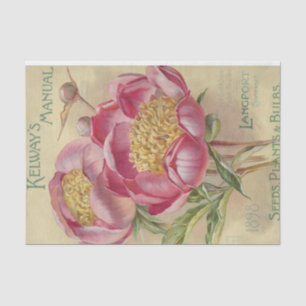 Vintager Saatgutkatalog Kelway's Manual Seeds 1898 Seidenpapier