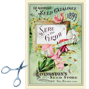 Vintager Saatgutkatalog Livingston's Seed Store 18 Seidenpapier