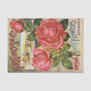 Vintager Saatkatalog 1896 G.R. Gause Seidenpapier