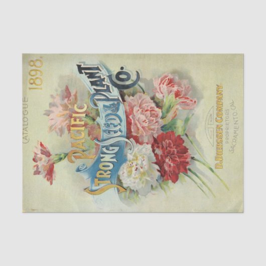 Vintager Saatkatalog 1898 Pazifischer Starksaat Seidenpapier (Vorderseite)