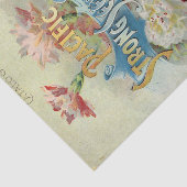 Vintager Saatkatalog 1898 Pazifischer Starksaat Seidenpapier (Ausschnitt)
