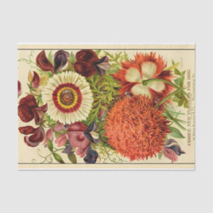 Vintager Saatkatalog Burpee Neue Blume 1887 Seidenpapier