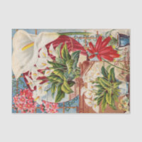 Vintager Saatkatalog Callas und Hyacinths