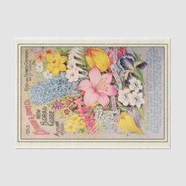 Vintager Saatkatalog Conard 1900 Rose und Blume Seidenpapier