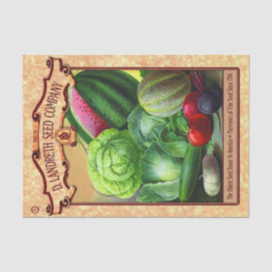 Vintager Saatkatalog D. Landreth Gemüse Obst Seidenpapier