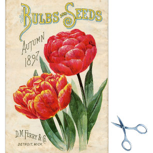 Vintager Saatkatalog D.M. Ferry Herbst 1897 Seidenpapier