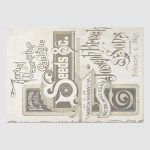 Vintager Saatkatalog Entsprechung Elfenbeinparkett Seidenpapier