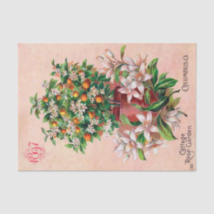 Vintager Saatkatalog Hütte Rose Garden, 1897 Seidenpapier