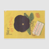 Vintager Saatkatalog J.V. Faust 1888 Stiefmütterch Seidenpapier (Vorderseite)