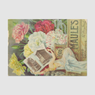 Vintager Saatkatalog Maule's Carnation, 1900 Seidenpapier