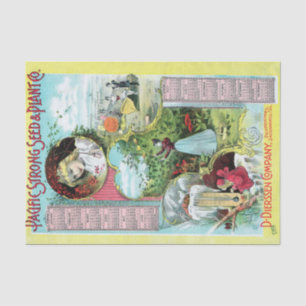 Vintager Saatkatalog Pazifik Starkes Saatgut und P Seidenpapier