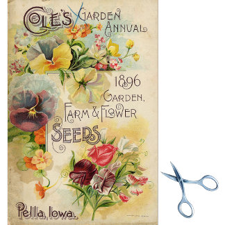 Vintager Samenkatalog Cole's Garden Annual 1896 Seidenpapier
