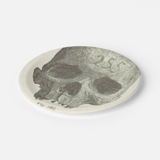 Vintager Schädel-Halloween-Aperitif, Pappteller (Schrägansicht)