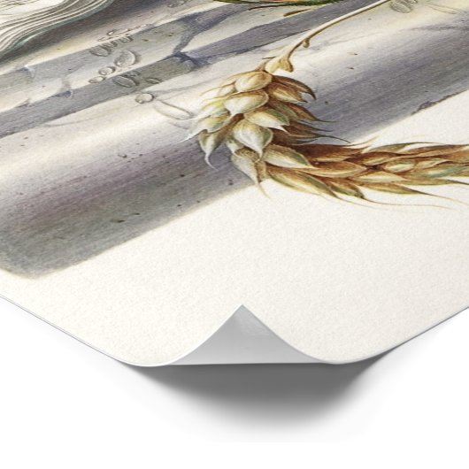 Vintager Schädel Poster (Ecke)