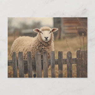 Vintager Schafspieß Postkarte