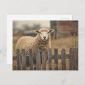 Vintager Schafspieß Postkarte (Vorne/Hinten)
