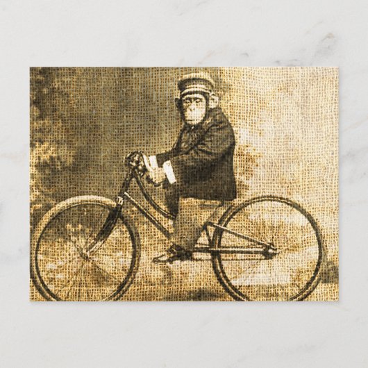 Vintager Schimpanse auf einem Fahrrad Postkarte (Vorderseite)