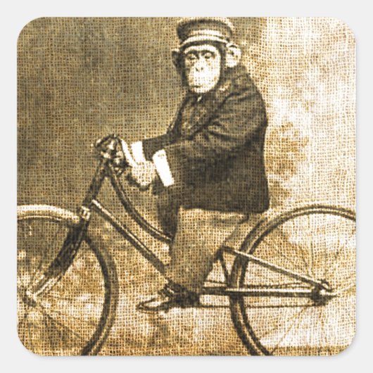 Vintager Schimpanse auf einem Fahrrad Quadratischer Aufkleber (Vorderseite)
