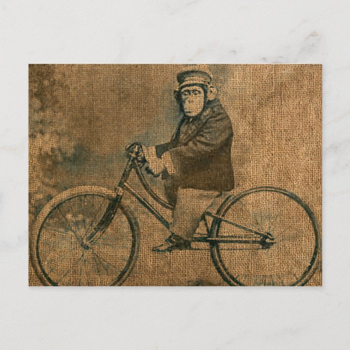 Fahrrad Postkarte