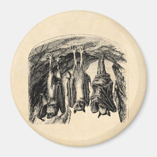 Vintager Schläger 1800s Fliegenfox-Schläger Magnet