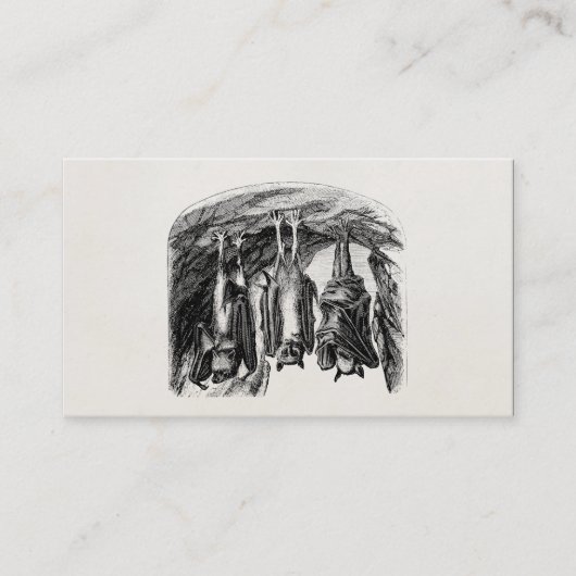 Vintager Schläger 1800s Fliegenfox-Schläger Visitenkarte (Vorderseite)