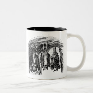 Vintager Schläger 1800s Fliegenfox-Schläger Zweifarbige Tasse