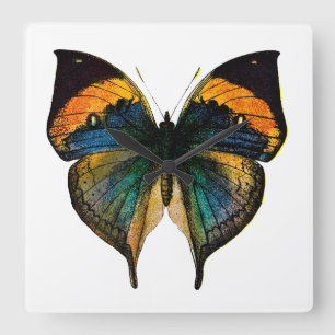 Vintager Schmetterling - 1800's antikes Butterfies Quadratische Wanduhr