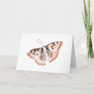 Vintager Schmetterling Alte Illustration Karte