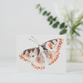 Vintager Schmetterling Alte Illustration Postkarte (Stehend Vorderseite)