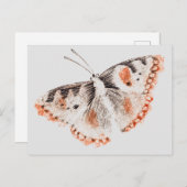 Vintager Schmetterling Alte Illustration Postkarte (Vorne/Hinten)