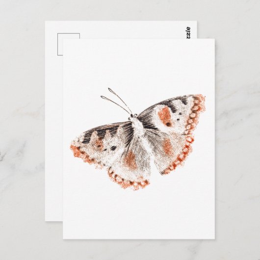 Vintager Schmetterling Alte Illustration Postkarte (Vorne/Hinten)