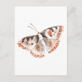 Vintager Schmetterling Alte Illustration Postkarte (Vorderseite)