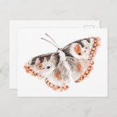 Vintager Schmetterling Alte Illustration Postkarte (Vorne/Hinten)