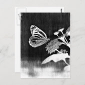 Vintager Schmetterling auf Blume - Schwarz und Wei Postkarte (Vorne/Hinten)