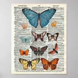 Vintager Schmetterling Botanisch #2 auf Wörterbuch Poster