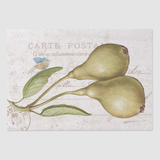 Vintager Schmetterling Carte Postale Entdeckungsre Seidenpapier (Vorderseite)