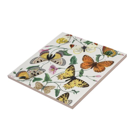 Vintager Schmetterling  Fliese (Seite)