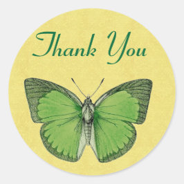 Vintager Schmetterling grün und gelb Danke V29 Quadratischer Aufkleber