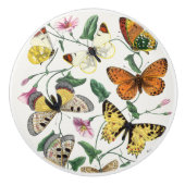 Vintager Schmetterling Keramikknauf (Vorderseite)
