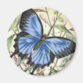 Vintager Schmetterling Magnet (Vorne)