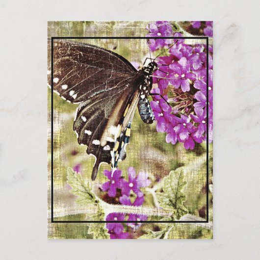Vintager Schmetterling mit Blume Postkarte (Vorderseite)
