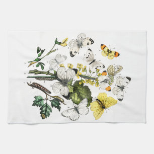 Vintager Schmetterling Papillon Alte Illustration Geschirrtuch