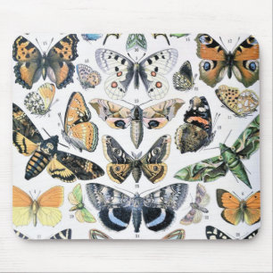 Vintager Schmetterling Papillon Alte Illustration  Mousepad