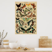 Vintager Schmetterling Papillon Alte Illustration  Poster (Küche)