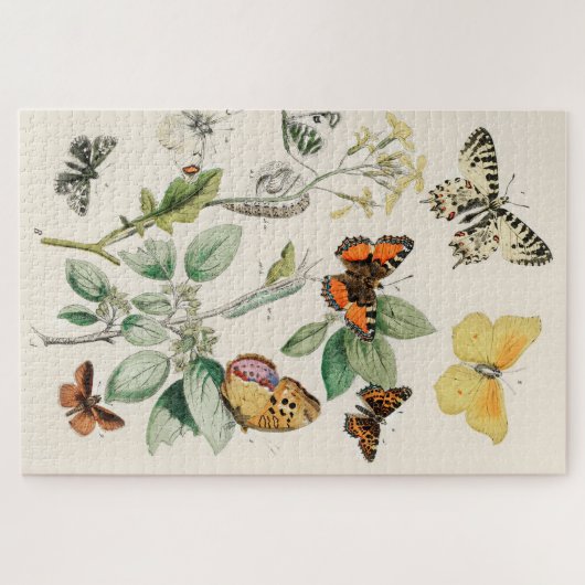 Vintager Schmetterling Papillon Alte Illustration Puzzle (Horizontal)