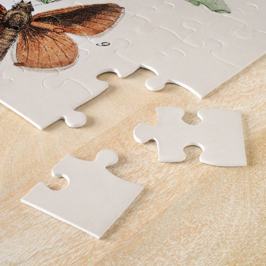 Vintager Schmetterling Papillon Alte Illustration Puzzle (Seite)